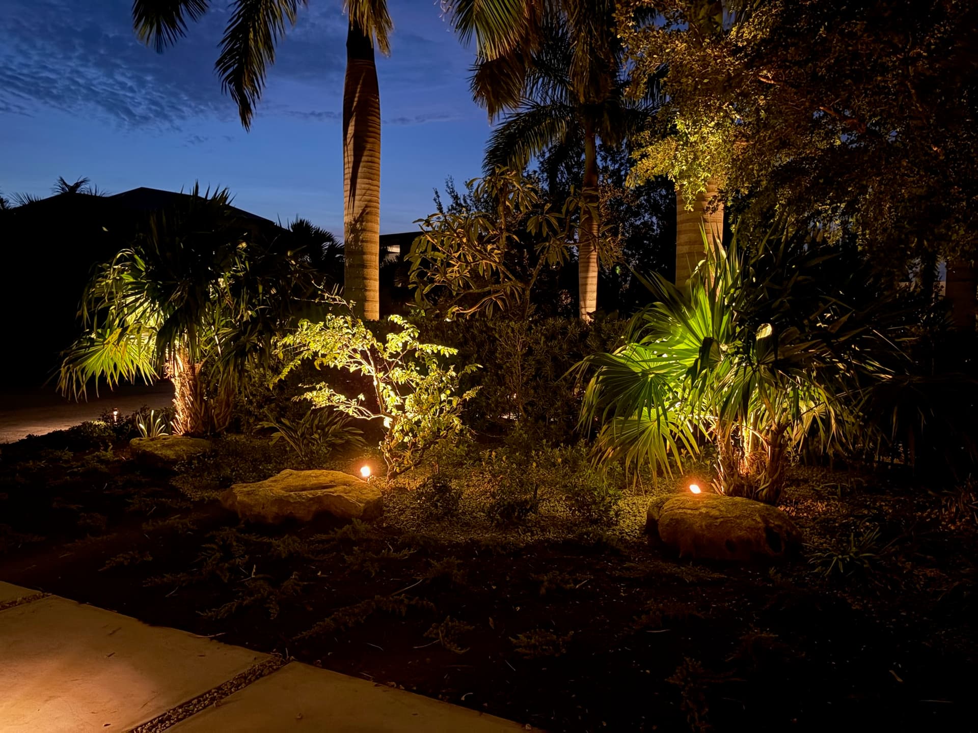 Precision brass spotlighting on tropical flowering shrubs, landscape boulders, and fan palms in Florida
