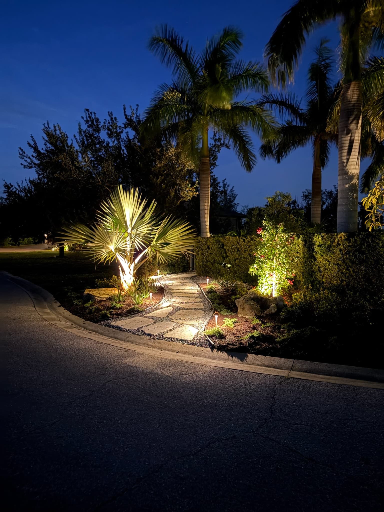 Solid cast brass pathway lighting and fan palm uplighting along a curved stone walkway on a Sarasota estate