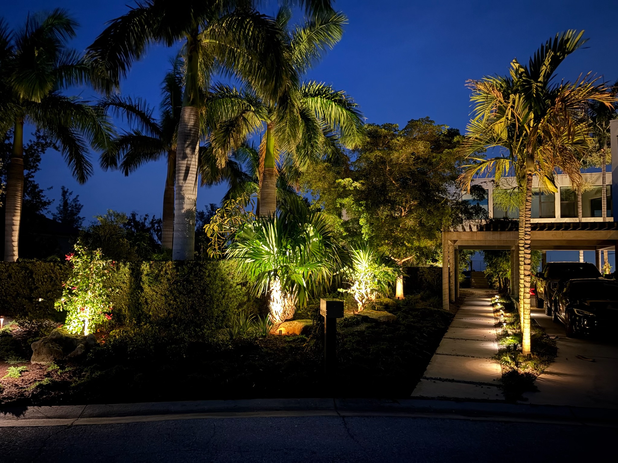 Estate Palm Canopy